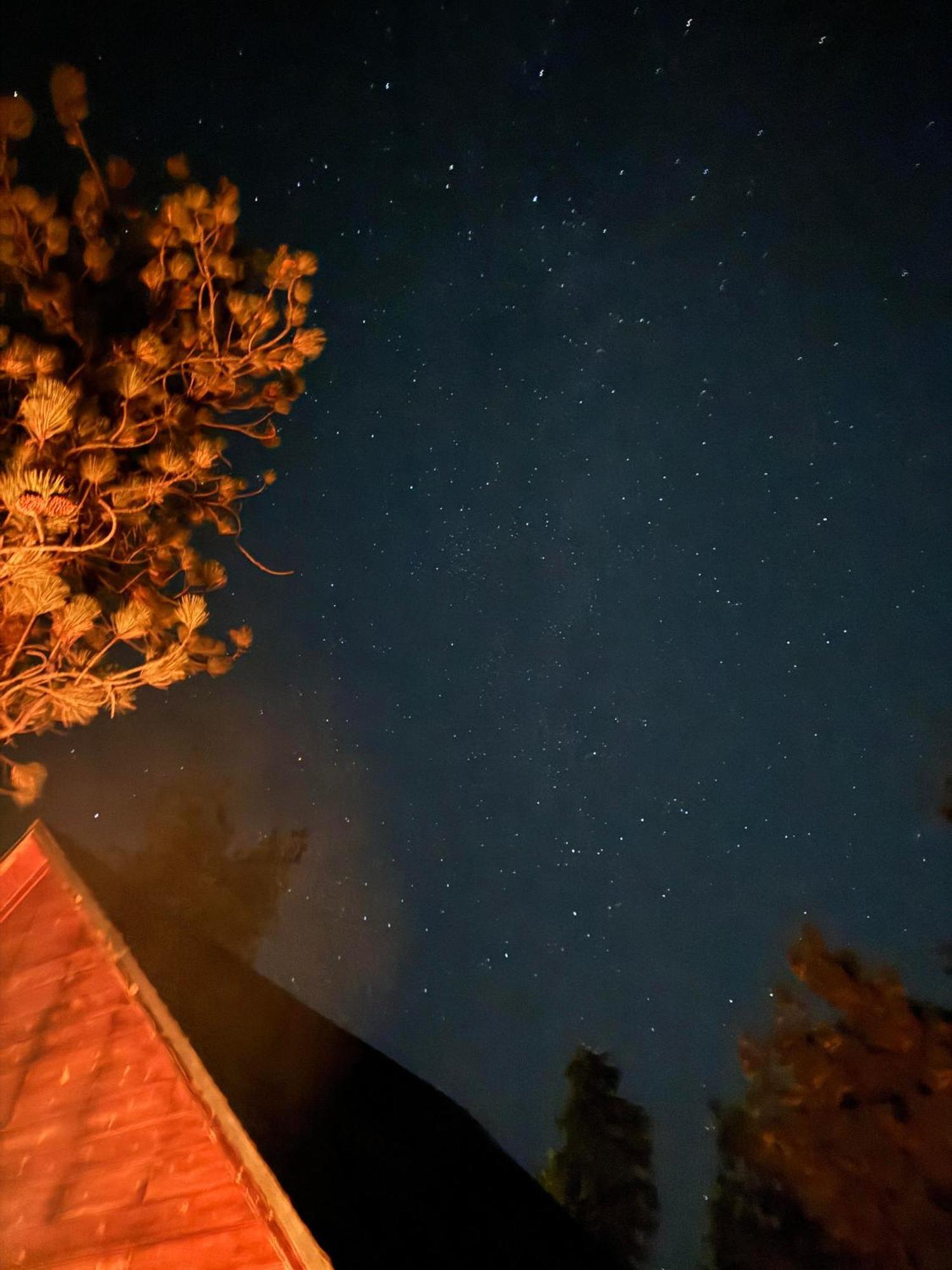 1 B1B Lake Cabin/Walk To Lake/Boulder Bay Park Big Bear Lake Luaran gambar