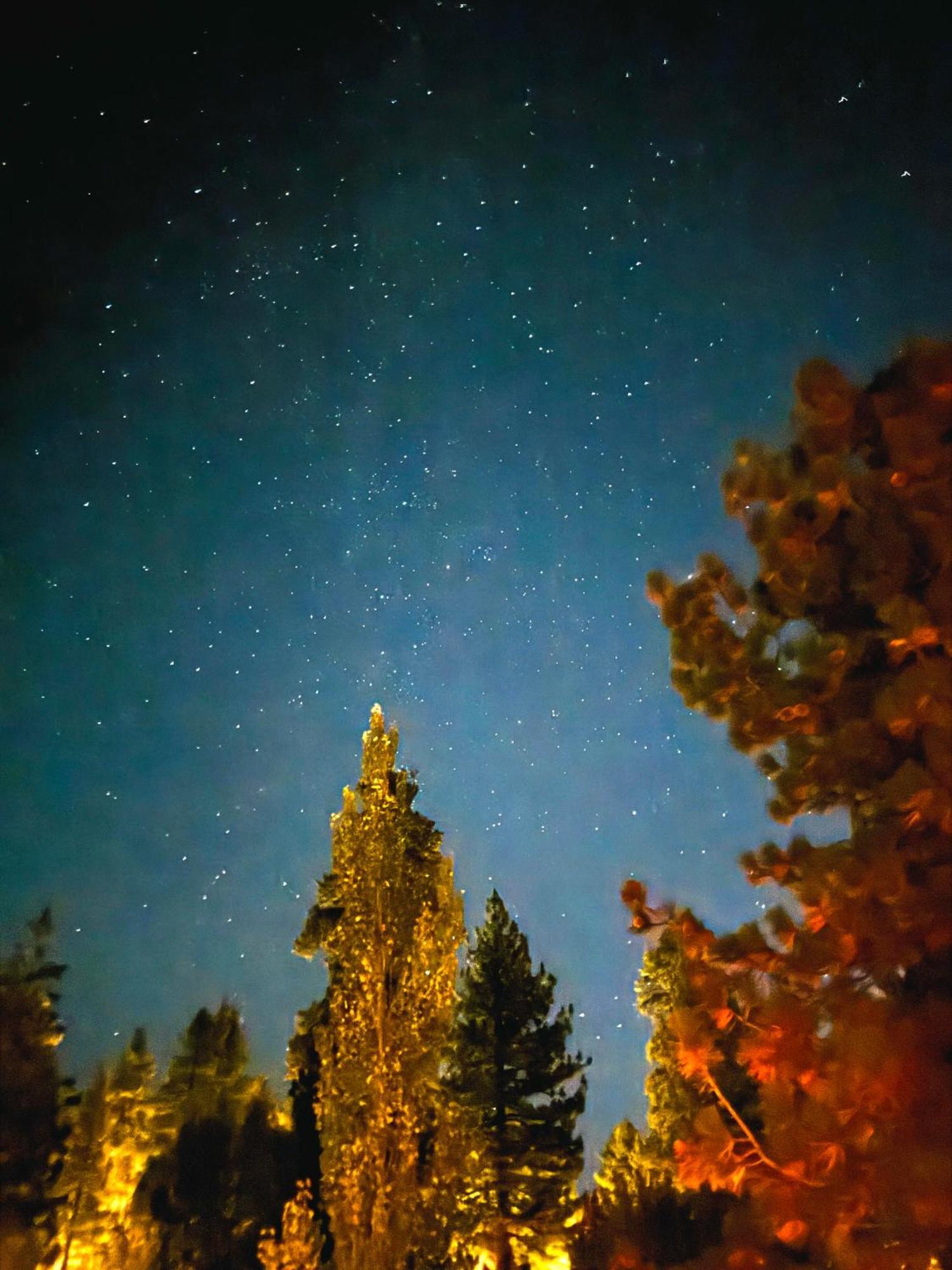 1 B1B Lake Cabin/Walk To Lake/Boulder Bay Park Big Bear Lake Luaran gambar